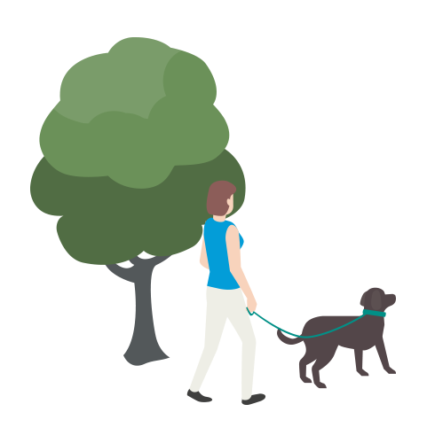 Woman walking her brown dog outside near a large tree